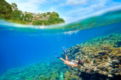 菲律宾护照：成功案例