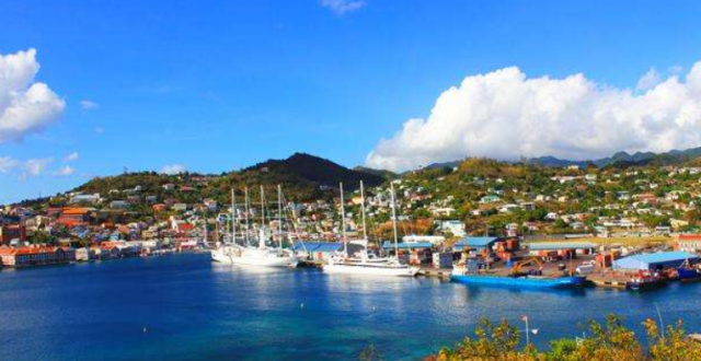 美国E2签证：成功案例