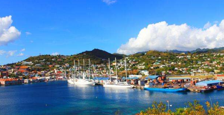 美国E2签证：成功案例