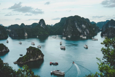 越南护照：成功案例